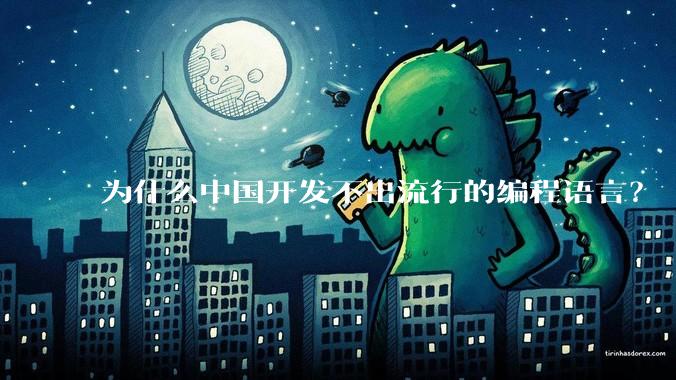 为什么中国开发不出流行的编程语言？