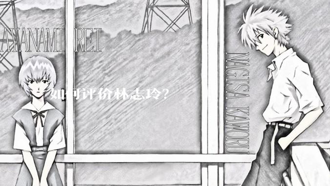 如何评价林志玲？