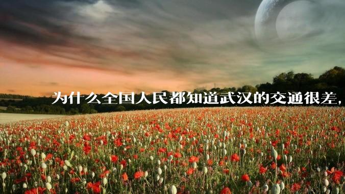 为什么全国人民都知道武汉的交通很差，但是武汉人不知道？