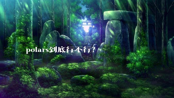 polars到底行不行？