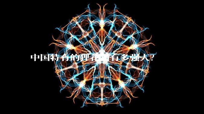 中国特有的狸花猫有多强大？