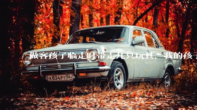 做客孩子临走时带走几只玩具，我的孩子抗拒并一直哭，要怎么开导？