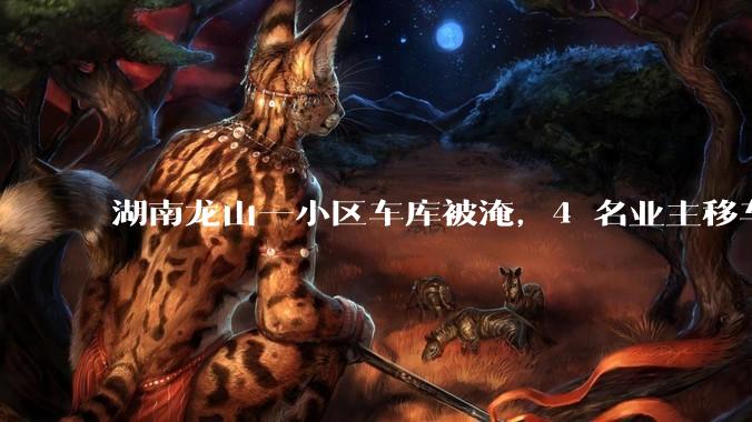 湖南龙山一小区车库被淹，4 名业主移车失联其中 3 人遇难，有何警示意义？遇到暴雨有哪些注意事项？