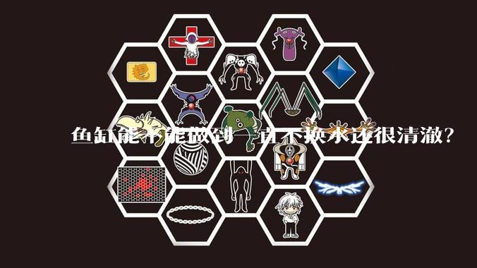 鱼缸能不能做到一直不换水还很清澈？