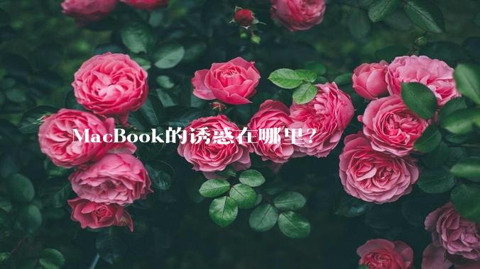 MacBook的诱惑在哪里？